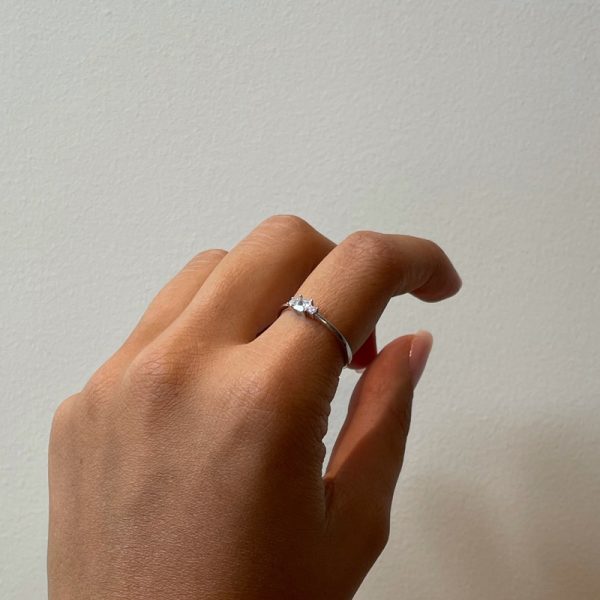 מינימליסטית