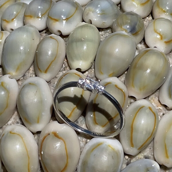 מינימליסטית