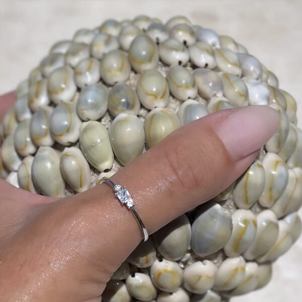 מינימליסטית