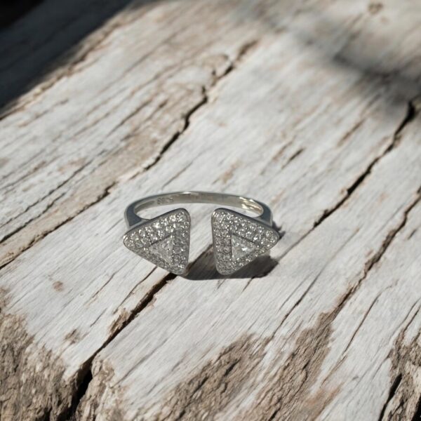 צירוף מקרים