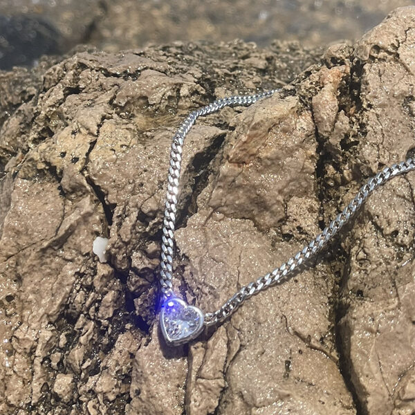 חיה את החלום